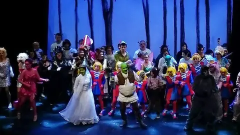 Imagen de uno de los anteriores musicales en Salas.