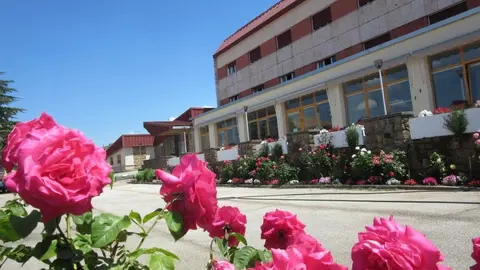 RESIDENCIA CON ROSAS