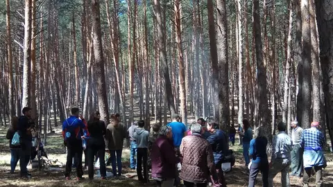 COMIDA EN EL MONTE