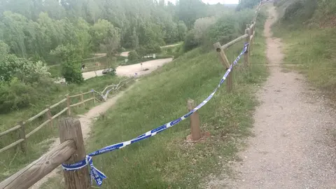 dav