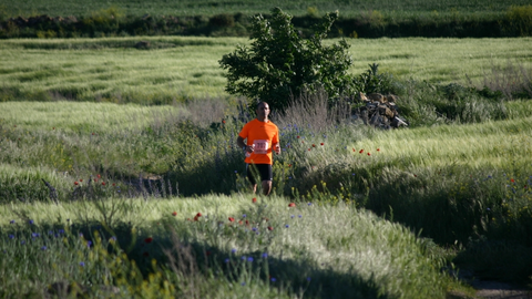 ultima_edicion_del_cross_campo_a_traves_de_valdelagua_del_cerro._