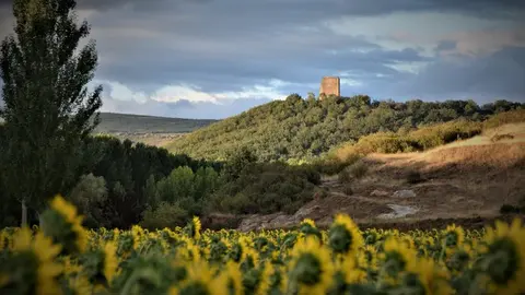 CASTROVIDO DE AQUILINO MOLINERO