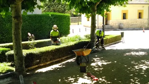 Trabajadores contratados en El Burgo de Osma