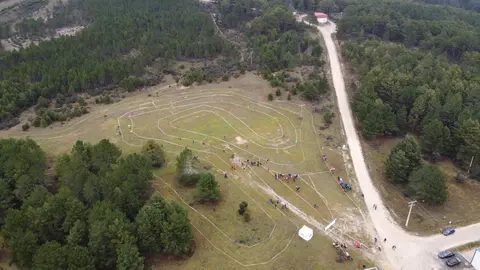 cross 14