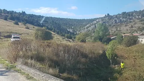 Poda en Río Lobos