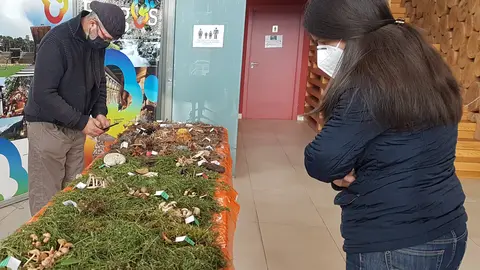 Exposición de primavera