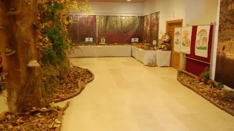 Exposición Vinuesa