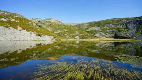 LAGUNA CEBOLLERA