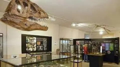 INTERIOR DEL MUSEO DE LOS DINOSAURIOS