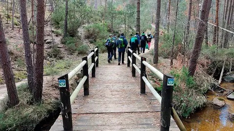 TrackTrail_00003