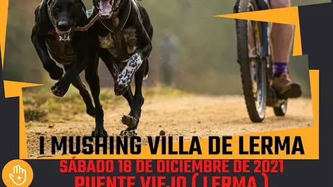 cartel-i-mushing-villa-de-lerma