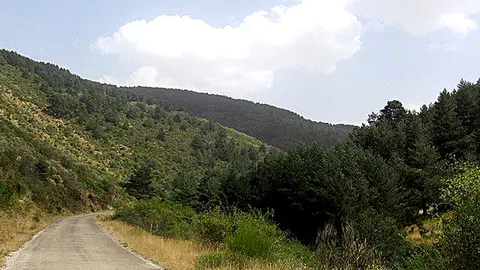 Carretera Neila-Huerta de Arriba