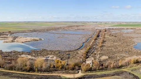 Humedales