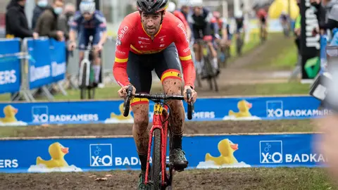 FOL_BurgosBH_Loenhout_X2O-1-3-scaled