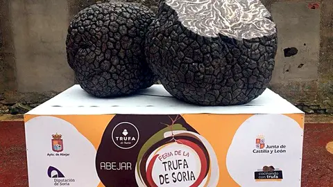 Emblema de la trufa en la Feria de Abejar