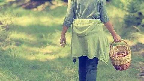 Micoturismo en Soria