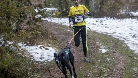 mushing