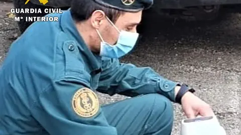 SEPRONA_lector microchip