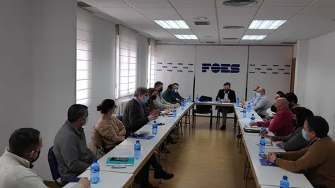 Consejo Sectorial FOES