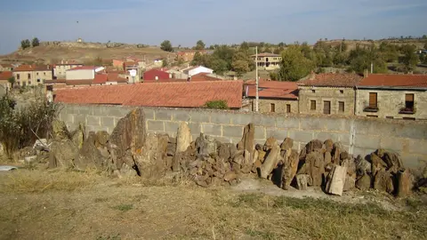 Muestrario de restos de árboles fósiles recogidos en Castrillo de la Reina.