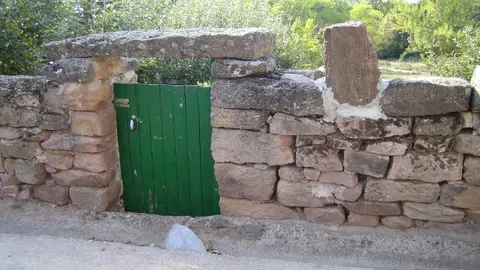 Trozo de árbol fósil en un huerto de Castrovido