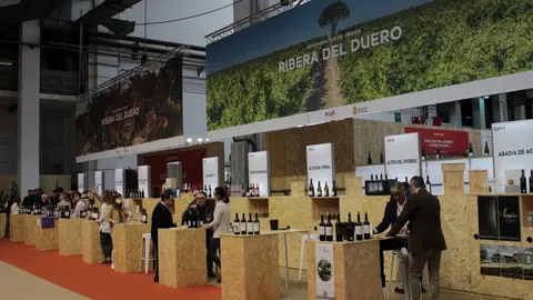 Ribera del Duero. Foto- Lara Villanueva.