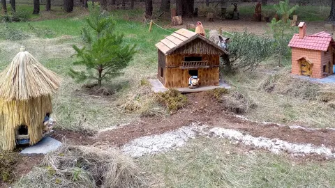 Bosque Mágico