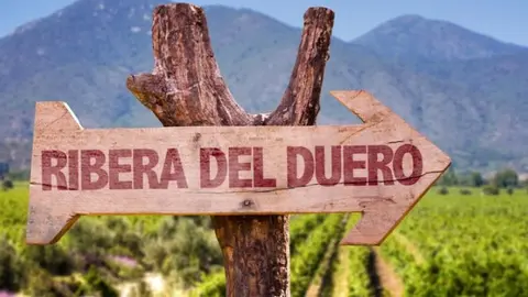 ribera-duero-720x380