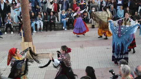 PINGADA EN HONTORIA (45)