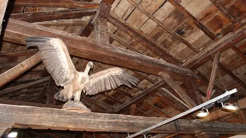 Casa del Cañón