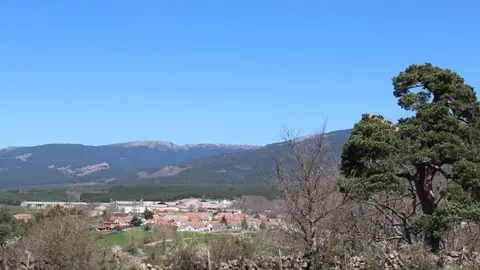 PINGADA COVALEDA 2022 (43)