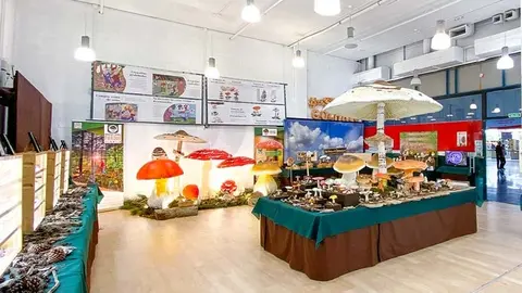 Exposicion Setera