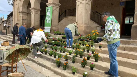 DIA DE LAS FLORES EN ViLVIESTRE