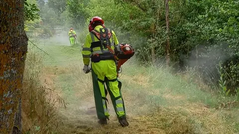 Brigadas Forestales acomentiendo trabajos de limpieza en Villaverde