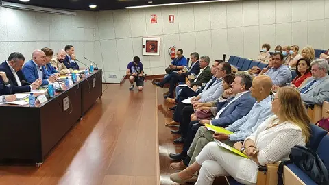 Comisión+de+Gobierno+de+la+Federación+Regional+de+Municipios+y+Provincias+0