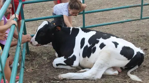 FERIA GANADERA VINUESA (43)