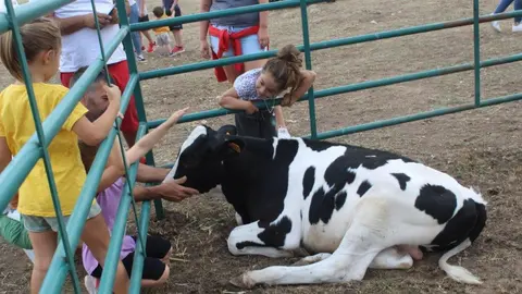 FERIA GANADERA VINUESA (44)