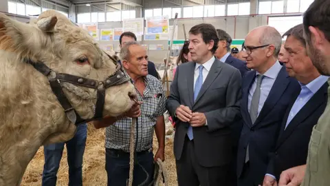 Feria de Salamanca