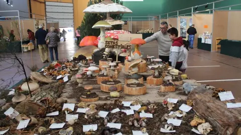 Micologica en San Leonardo (6)