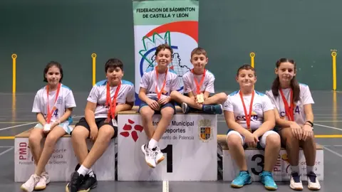 DELEGACIÓN SORIANA DE BADMINTON