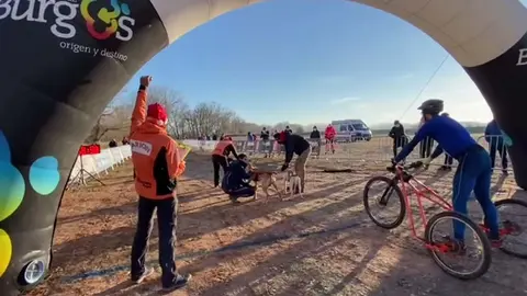 II Mushing Villa de Lerma