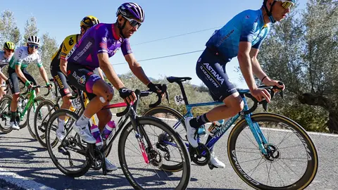 sprintcyclingagency_0655753_1_2000px