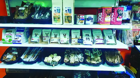Peluquería Canina Baguira en Soria