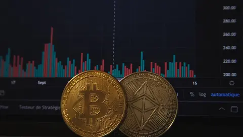  Caídas masivas de precios de criptomonedas: ¿Qué es un "invierno de criptomonedas"? 
