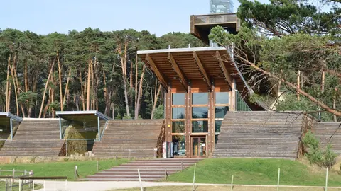 Casa madera