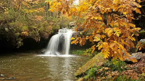 Cascada Paso del Peñoncito de Covaleda. Autor: Fran Benito García