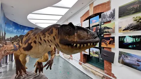 Museo dinosaurios