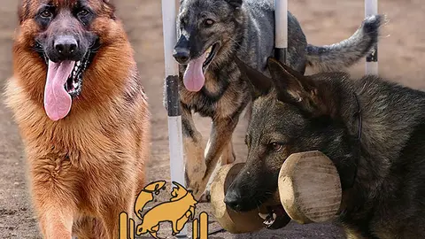 Diputación de Burgos