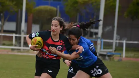 Pingüinas Rugby Burgos