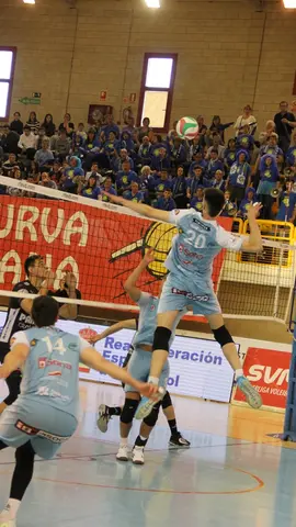 sor-ter04-imgEs20230422103444